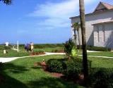 Patio View